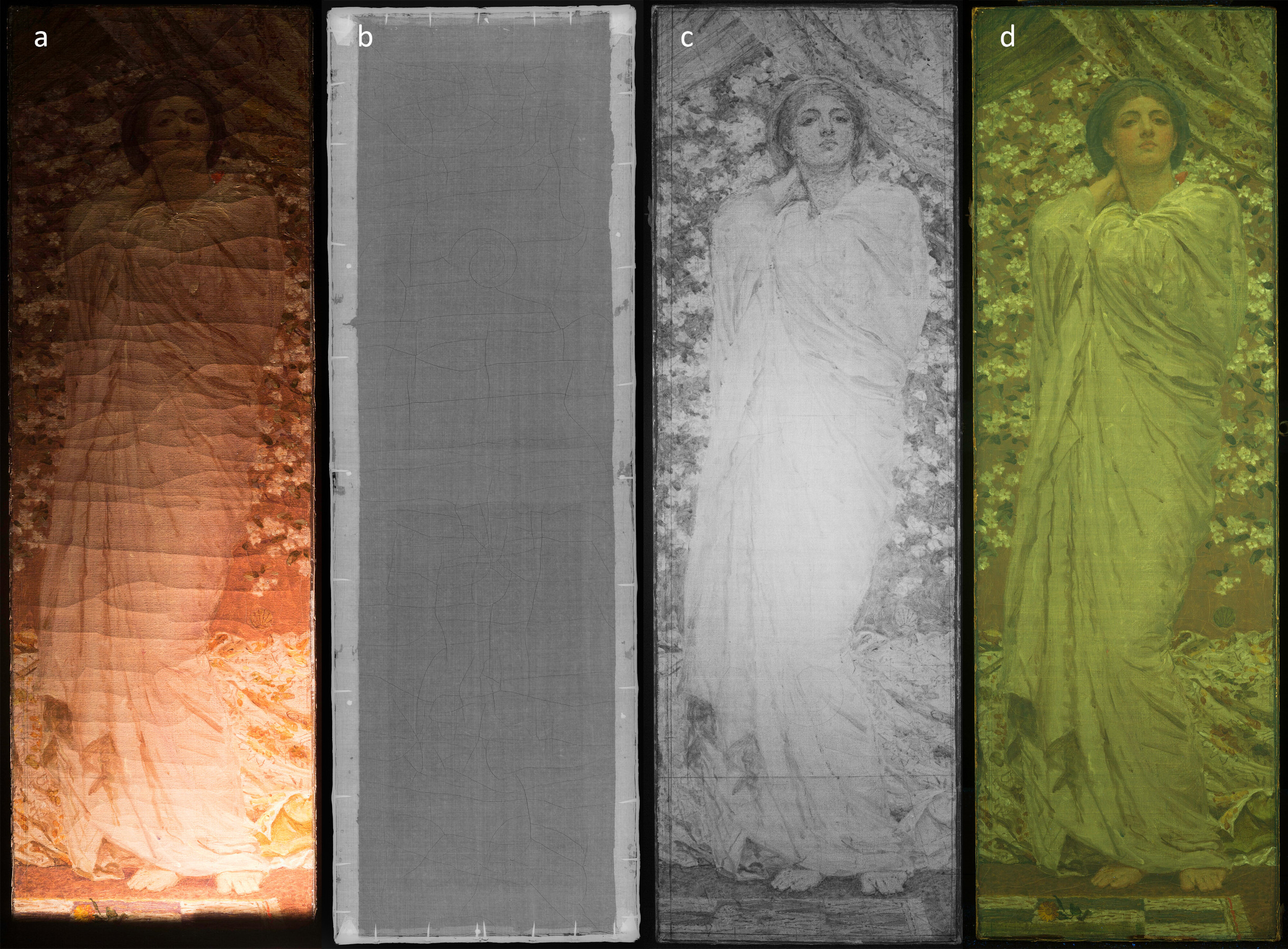 Four technical images of  Study for “Blossoms” labeled a to d, left to right.