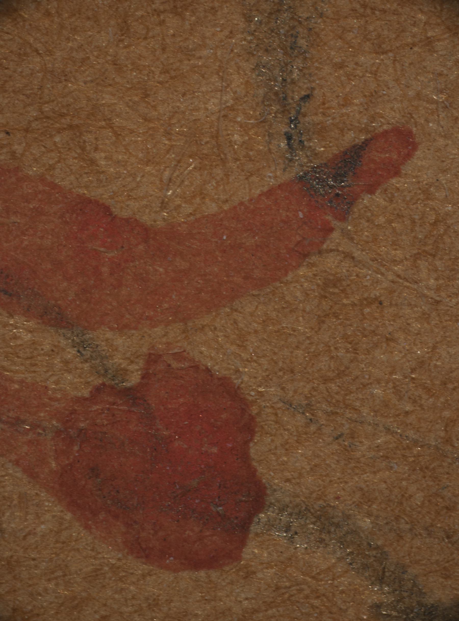 “Detail of the Harvard watercolor (figure 5) seen under magnification, showing red wash beneath and on top of graphite”